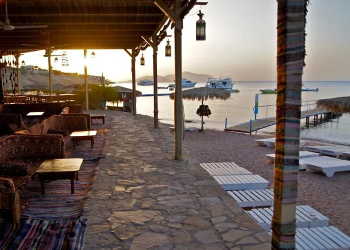Umbi Sharks Bay Diving Village Üdülőközpont 3*