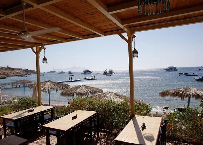 Umbi Sharks Bay Diving Village Üdülőközpont