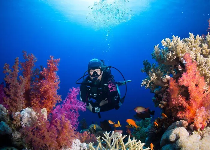 Umbi Sharks Bay Diving Village 3* Sarm es-Sejk