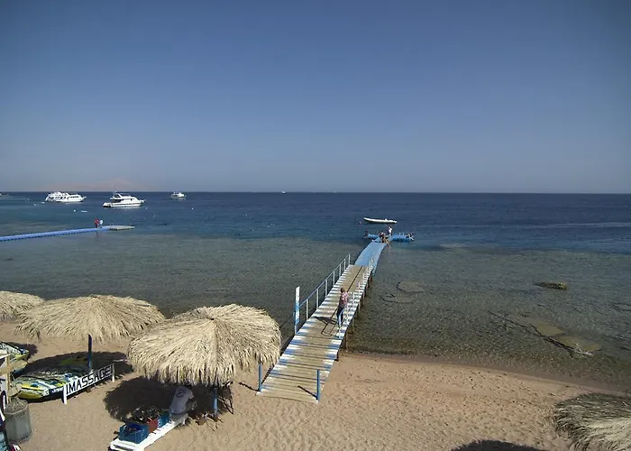 Umbi Sharks Bay Diving Village