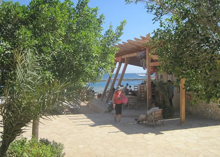 Umbi Sharks Bay Diving Village Station touristique Charm el-Cheikh