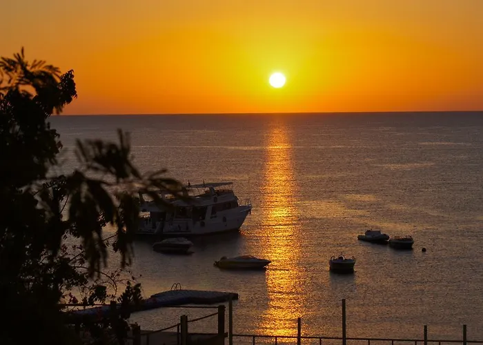 Umbi Sharks Bay Diving Village 3*
