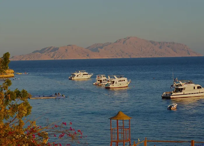 Umbi Sharks Bay Diving Village Üdülőközpont 3*