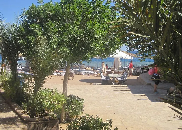 Umbi Sharks Bay Diving Village Sarm es-Sejk
