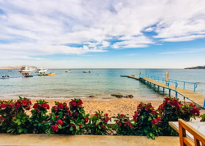 Üdülőközpont Umbi Sharks Bay Diving Village 3*