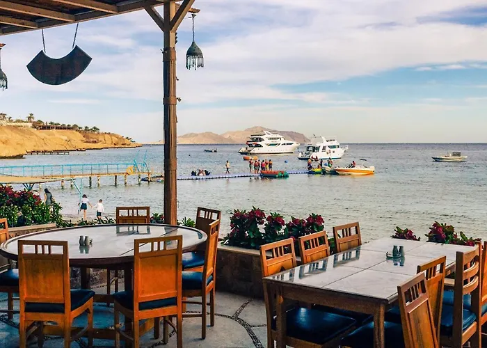 Üdülőközpont Umbi Sharks Bay Diving Village
