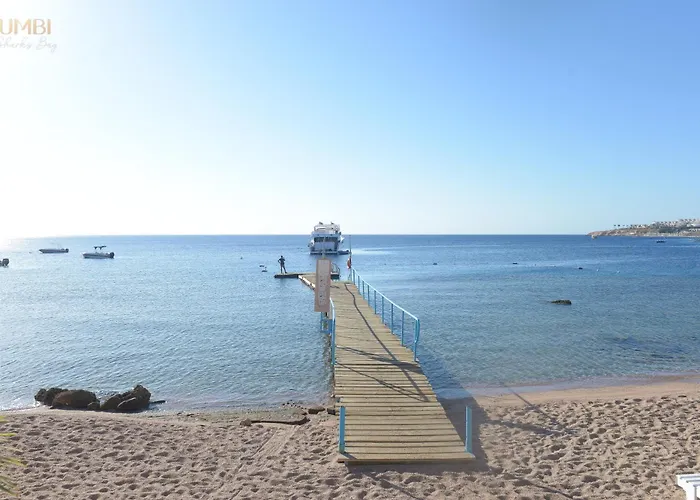 Umbi Sharks Bay Diving Village 3*