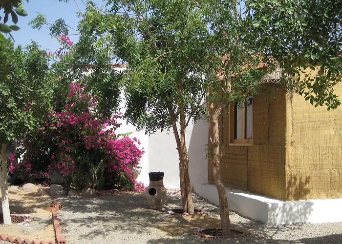 Umbi Sharks Bay Diving Village 3*