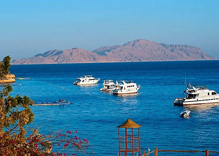 Umbi Sharks Bay Diving Village 3* שארם א-שייח